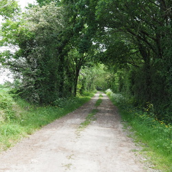 Marche Saint Julien des Landes 30/04/2026