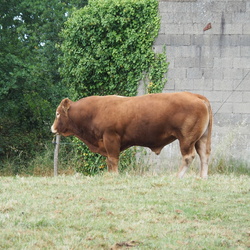 Vairé marche et randonnée 04/06/2026